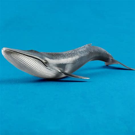 Large Size Realistic Blue Whale Models Toys Underwater Sea Animals
