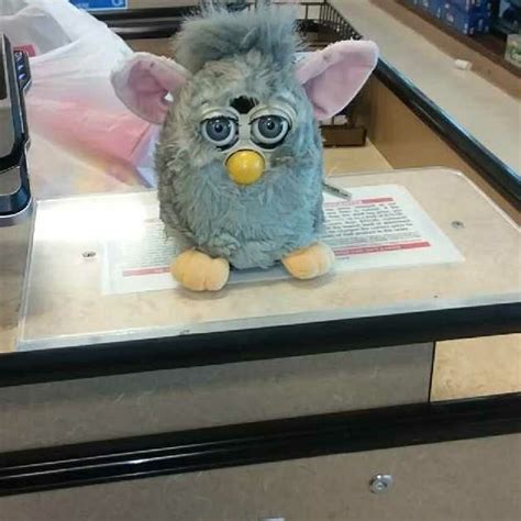 1966 Best Furby And Shelby Images On Pinterest Badges Lapel Pins And