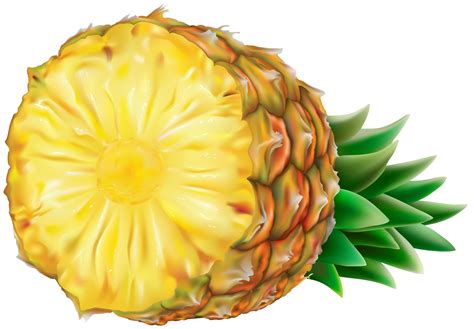 Pineapple Transparent Png Clip Art Gallery Yopriceville High
