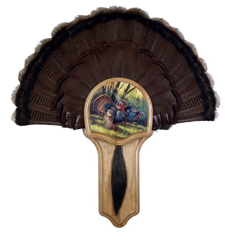 walnut hollow country deluxe turkey mounting and display kit oak with spring strut image amazon