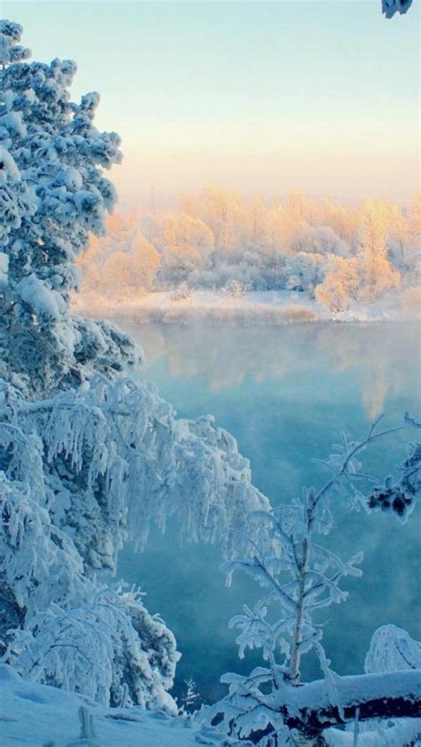 Frozen Trees Widescreen Snow Landscape 1136x640 640×1136 Pixels Wallpapers Pinterest