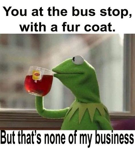 557 Best Kermit The Frog Quotes Images On Pinterest Funny Images