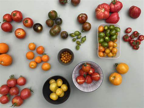 Some Of The Types Of Tomatoes I Grew Last Season Rvegetablegardening