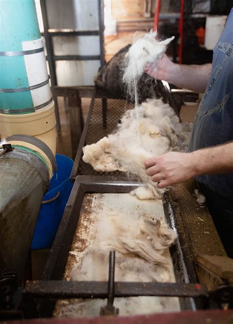 Wool Processing And Production Fibre Processing Custom Woolen Mills