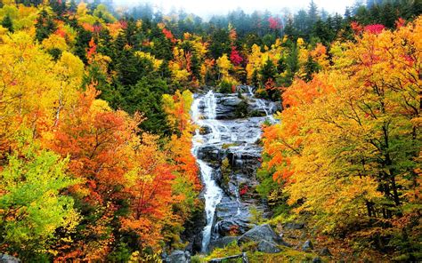 Cascading Waterfall In Autumn Forest