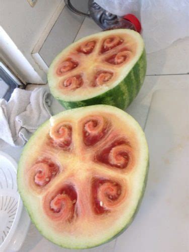 Hollow Heart In Watermelons Are Mindblowing Strange Sounds
