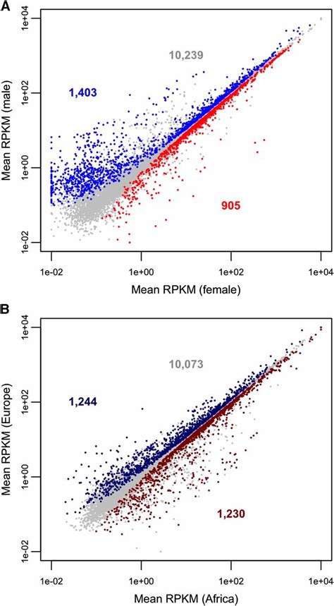 Population And Sex Biased Gene Expression In The