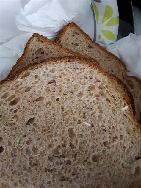 Can Mold Be White On Bread