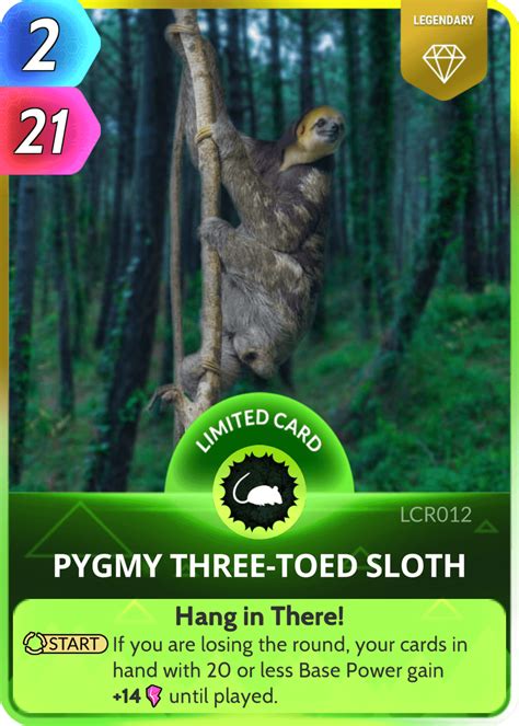 Pygmy Three Toed Sloth Cards The Universe And Everything Wiki Fandom