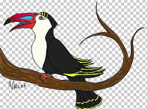 Bird Piciformes Toucan Beak Png Clipart Animal Animals Beak Bird