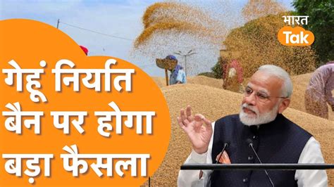 India Wheat Export Ban Egypt समेत कई देशों को चाहिए भारत का गेहूं हट