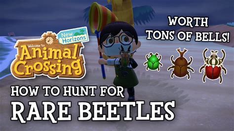 How To Hunt Rare Beetles In Animal Crossing New Horizons Youtube