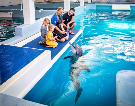 Le Clearwater Marine Aquarium