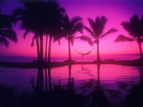 Here are only the best hd sunset wallpapers. 39+ Pink Beach Sunset Wallpaper on WallpaperSafari