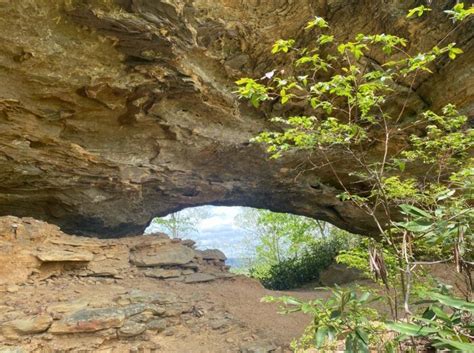 For The Best Views Of Kentuckys Iconic Red River Gorge Check Into The