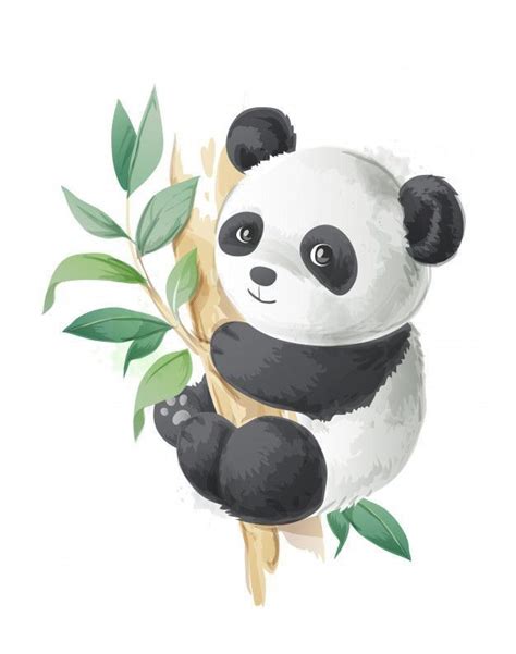 Cute Panda Cute Panda Drawing Cartoon Panda Panda Illustration
