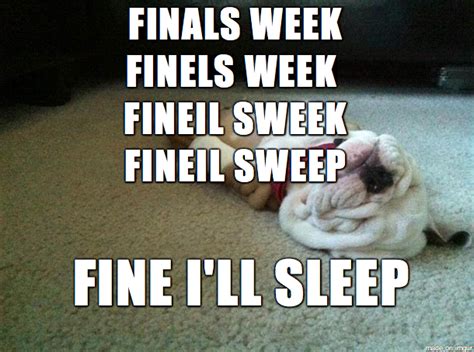 Finals Week Meme Guy