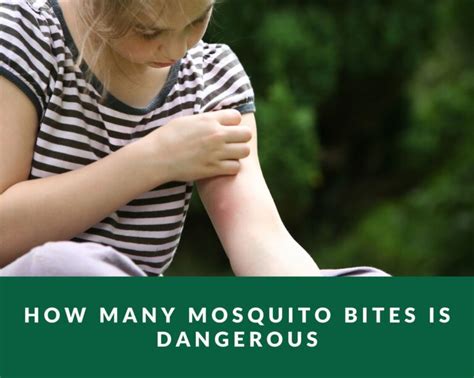 How Many Mosquito Bites Is Dangerous Zero Pest Ng