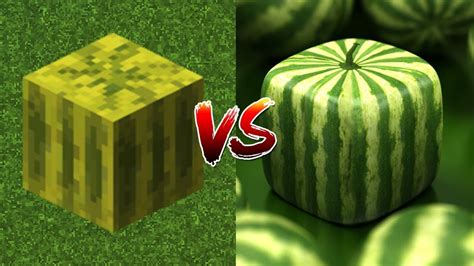 Minecraft Vs Real Life 63 Youtube