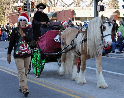 Braymere Custom Saddlery Carriages At The Christmas Carriage Parade