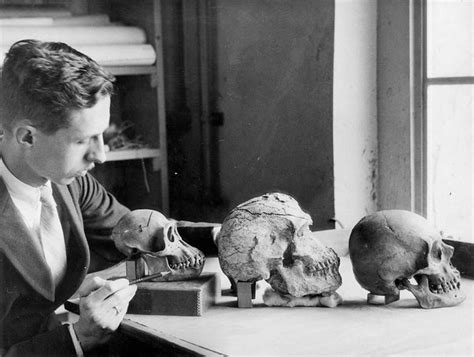 Paleoanthropology On Twitter Theodore Doney Mccown 1908 1969