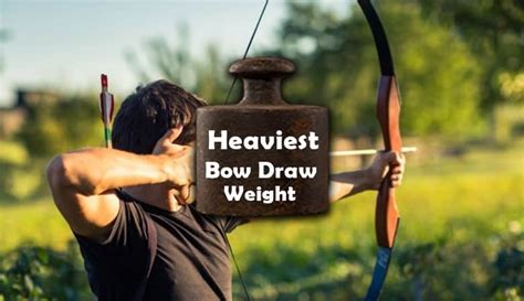 The 8 Heaviest Bow Draw Weight Ever