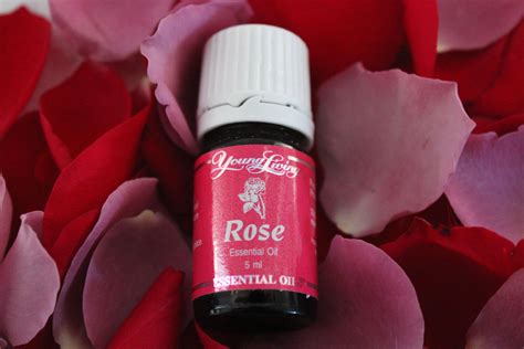 Experience The Essence Of Young Living Rose Oil