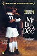 Mi vida como un perro (1985) - FilmAffinity