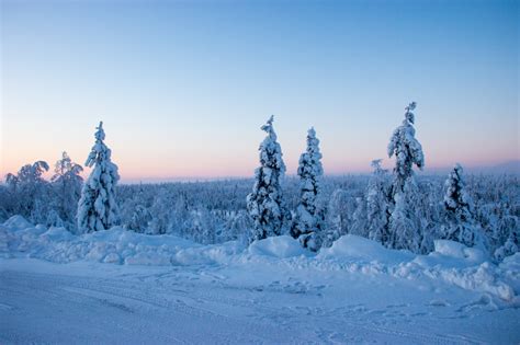 Winter In Lapland Lights Speed Adventure G Adventures