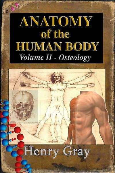 Anatomy Of The Human Body Book Ii Osteology By Henry Gray Ebook