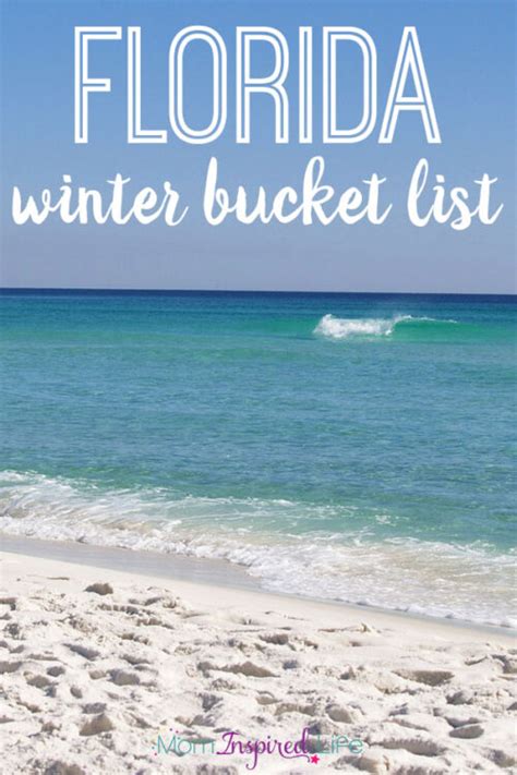 things to do in florida during winter florida winter bucket list