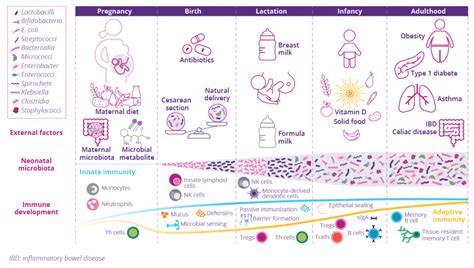 Factors Influencing Microbiota Development And Maturation Of The Immune