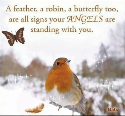 Pin By Mandy Smallbones On Favourite Quotes Bird Quotes Angel Angel Quotes