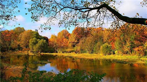 Colorful Autumn Trees Reflection On River In Forest Forest Hd
