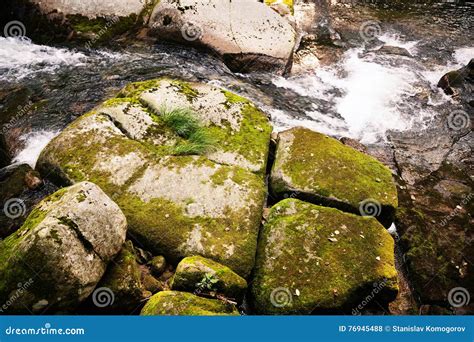 Large Stones In The River Covered With Moss In Wild Forest Stock Photo