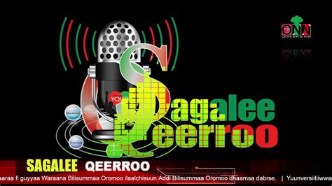 Onn Live Sagalee Qeerroo Bilisummaa Oromoo Amajjii 01 2019 Seensa