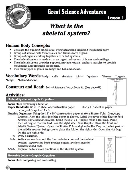 What Is The Skeletal System Lesson Plan For 4th 8th Grade Lesson