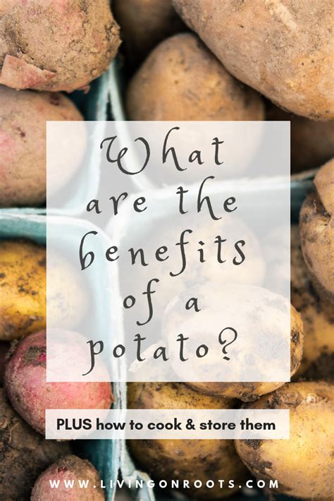 What Are The Benefits Of A Potato Living On Roots Healthy Potatoes