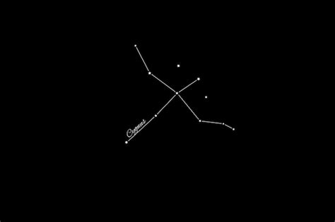 Premium Photo Cygnus Constellation Cluster Of Stars Swan