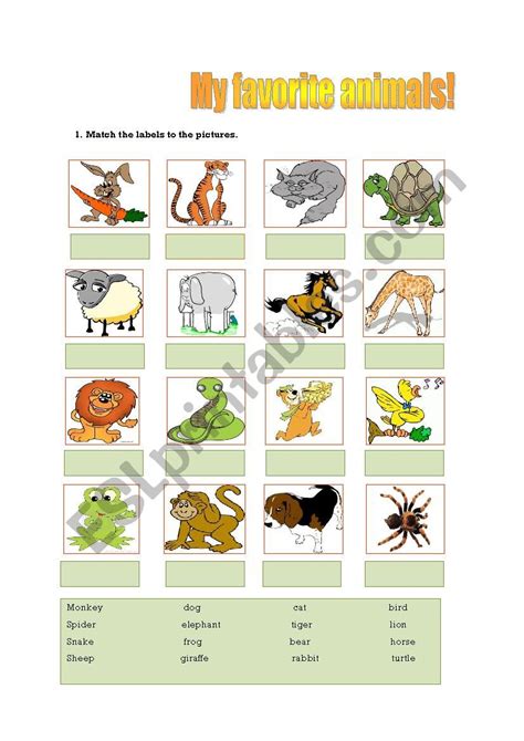 My Favorite Animals Esl Worksheet By Esther86