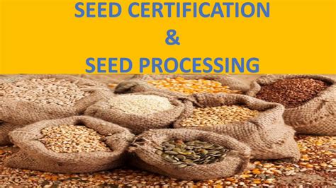 Seed Certification Seed Processing Youtube