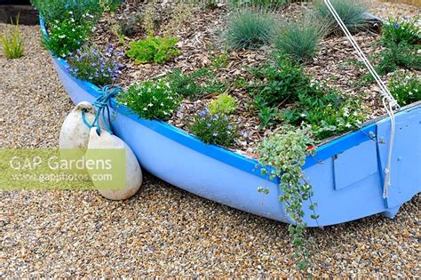 Gap Gardens Nautical Themed Garden With Boats Planted With Perennials