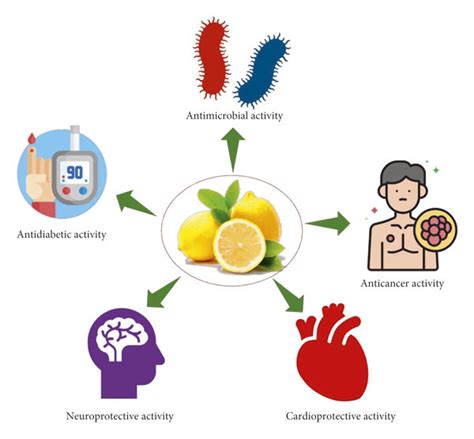 Various Important Bioactivities Of Citrus Genus Download Scientific
