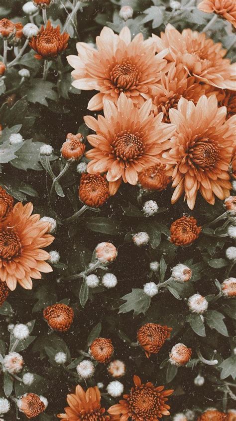 You can download them in psd, ai, eps or cdr format. Aesthetic Floral HD Wallpapers - Wallpaper Cave