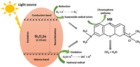 Proposed Photocatalytic Mechanism Of Bi2O2Se For MB Dye Degradation
