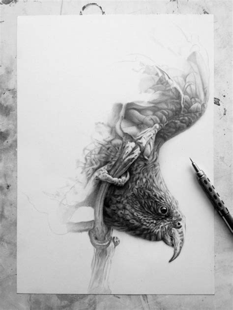 Drawing Art Black And White Birds Monochrome Wings Artists On Tumblr