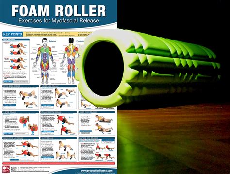 Mua Foam Roller Myofascial Release Chart Poster Muscle Massage