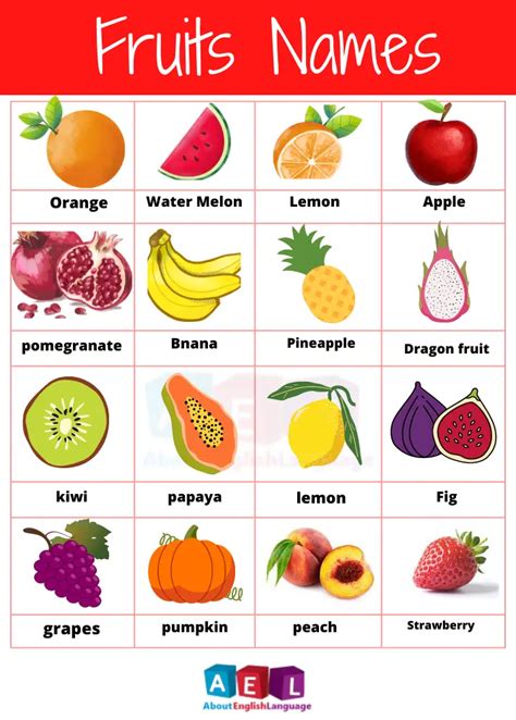 fruits names in english 50 fruits name list with pictures learn english online free