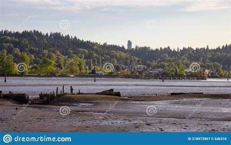 Shoreline Trail Port Moody Greater Vancouver British Columbia