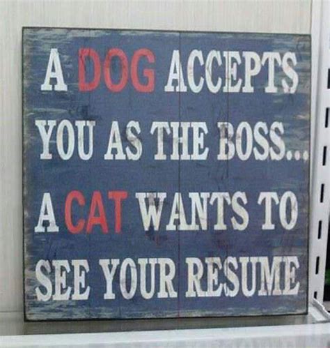 Funny Quotes About Dog Owners Quotesgram